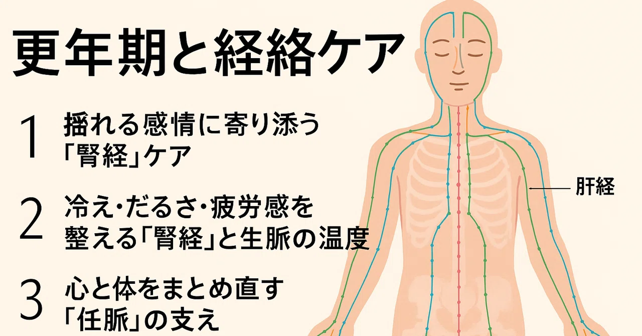 経絡図: 身体の経路とツボ｜pixygen
