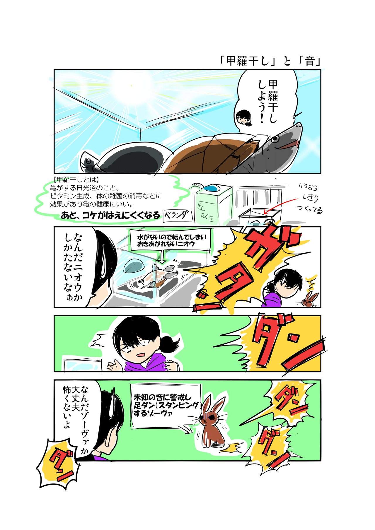 カメは今 何を思う 18 甲羅干し と 音 あみあきひこ Note カメは今 何を思う 18 甲羅干し と 音 あみあきひこ Note