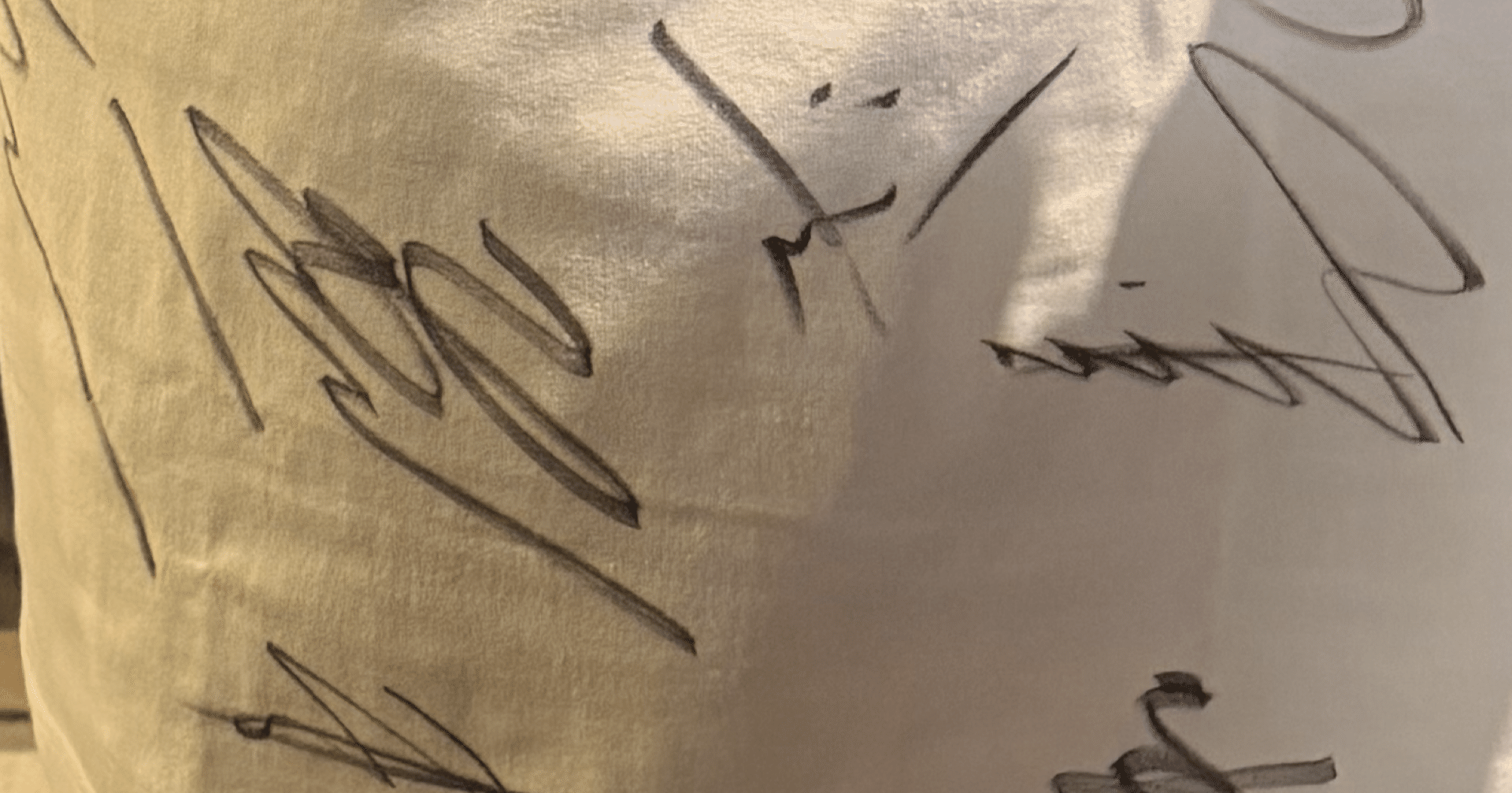 StrayKids☆スキズサウナくじB賞全員サインTシャツ届いた｜おれ