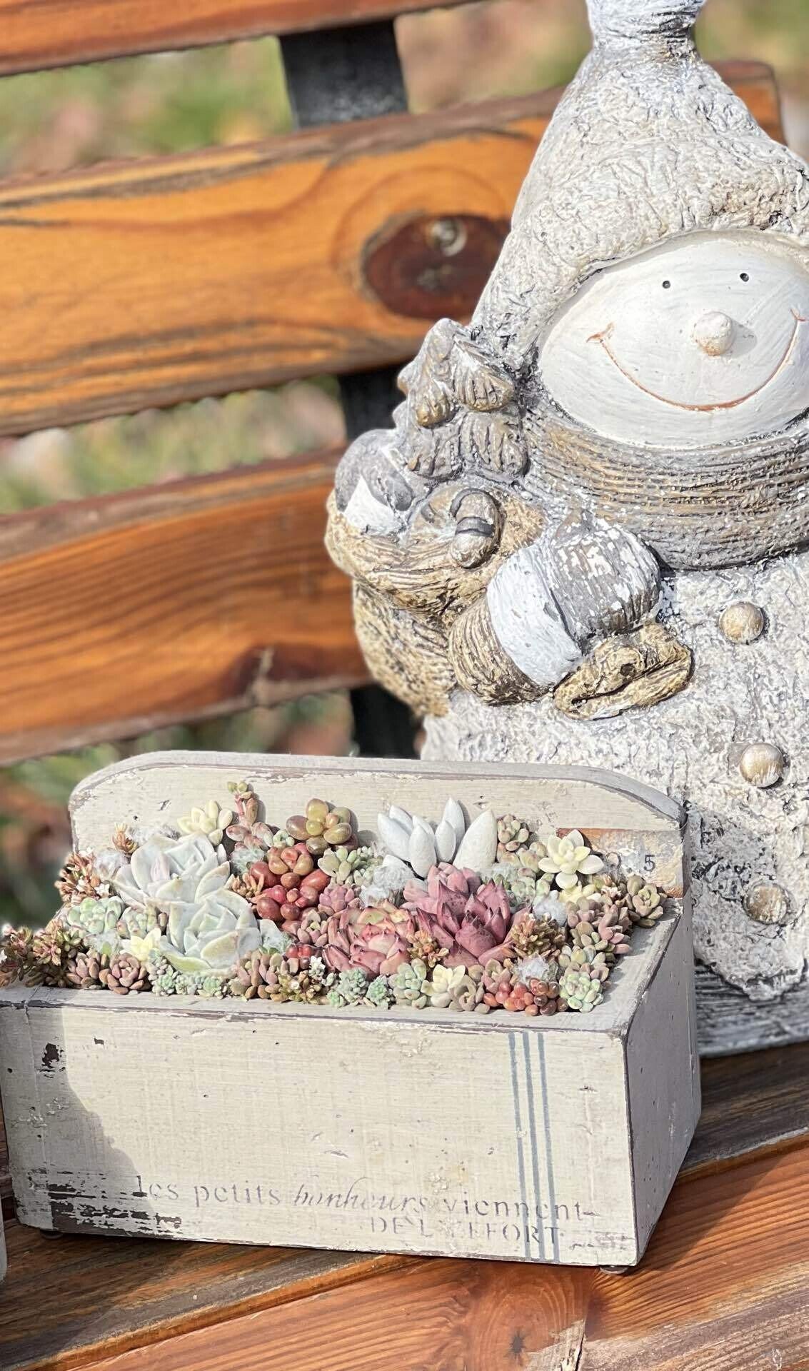 多肉植物の寄せ植えWS】元気をもらった1日🎵日記｜chiru