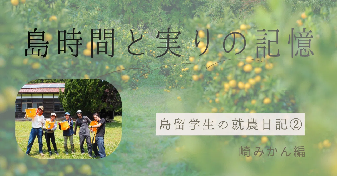 崎みかんの作業を通じて感じたこと②｜海士町 丹後農園の崎みかん（崎