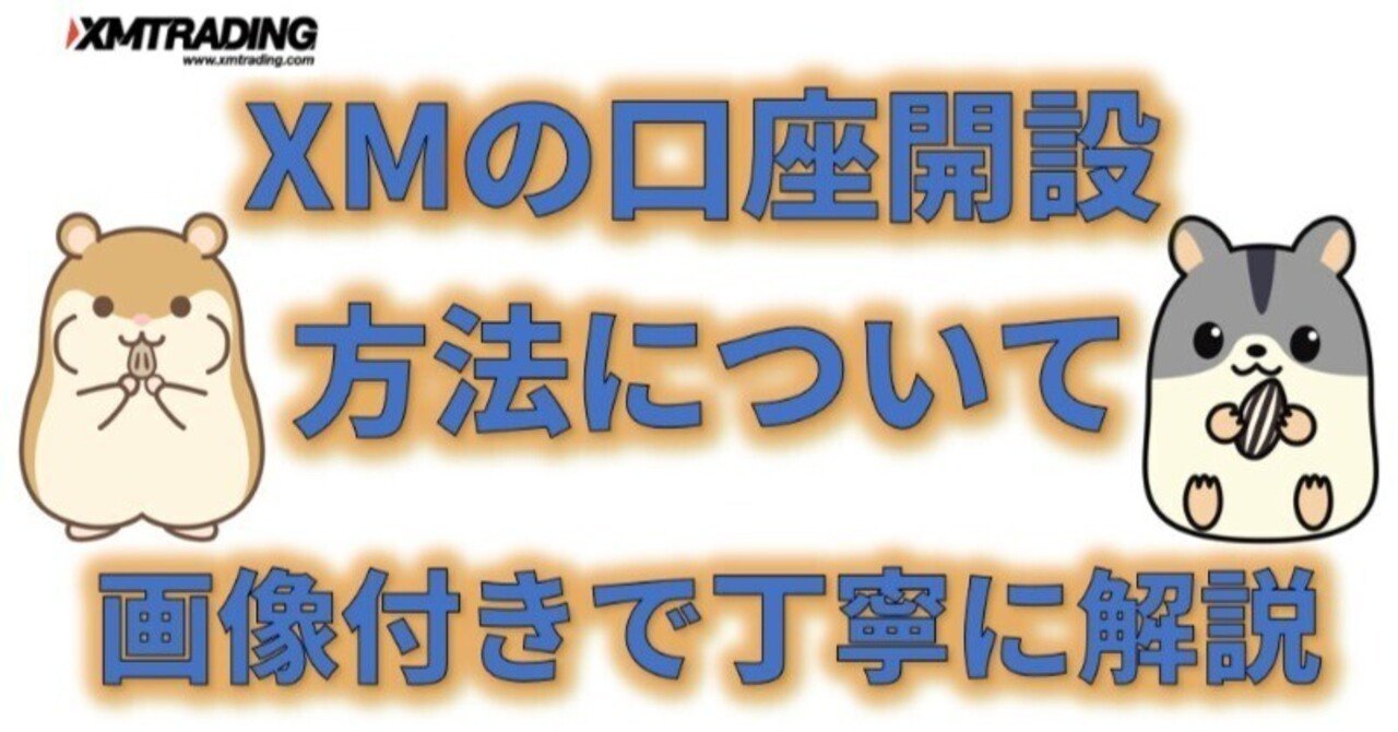 初心者向け】XMTradingの口座開設をわかりやすく解説！最短30分で始められる海外FX｜ハム吉（海外FXに関する有益な情報を発信）