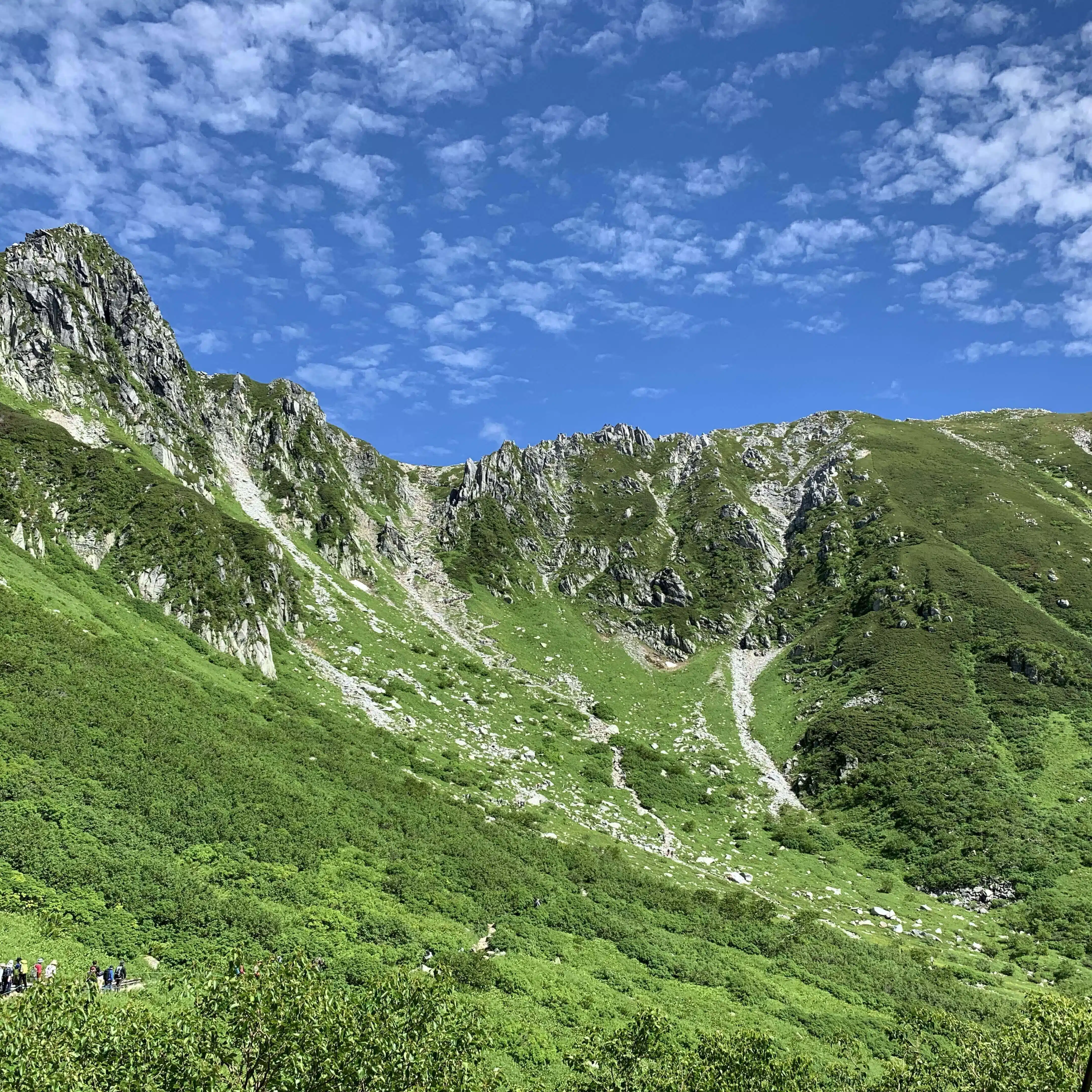 勤務医の呟き