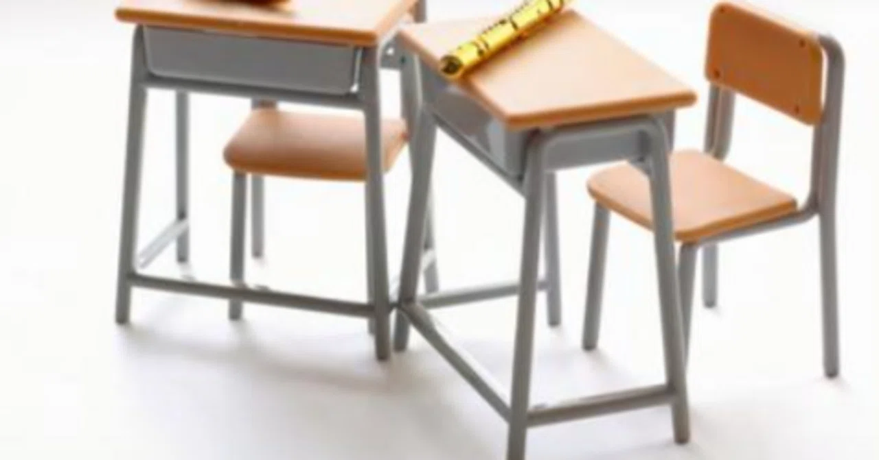 学校机の分類｜足掛け研究室