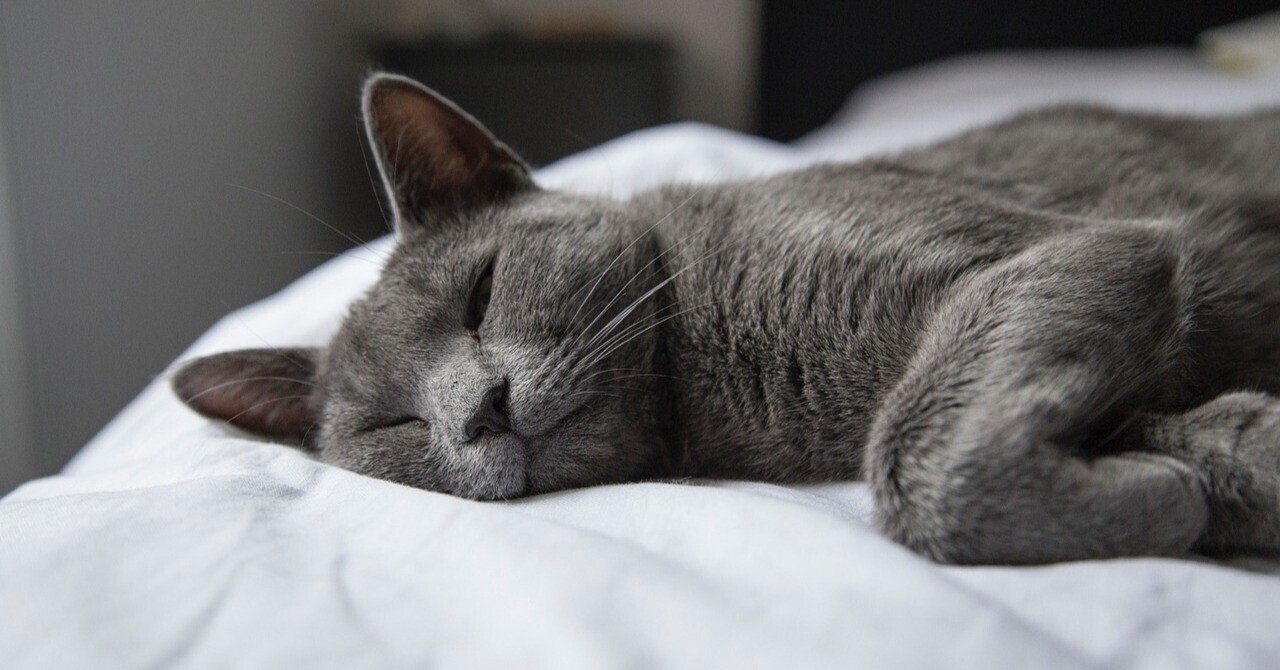 妻が言っていた】グレースケールの生活 スマホを触らなくなる｜たてちんミニマル