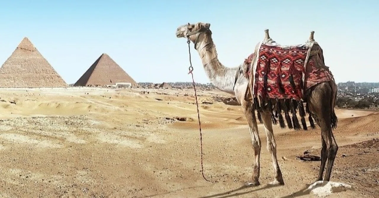 CAMEL-MIRAGE 蜃気楼 NS0xODY0LmpwZWc.jpeg