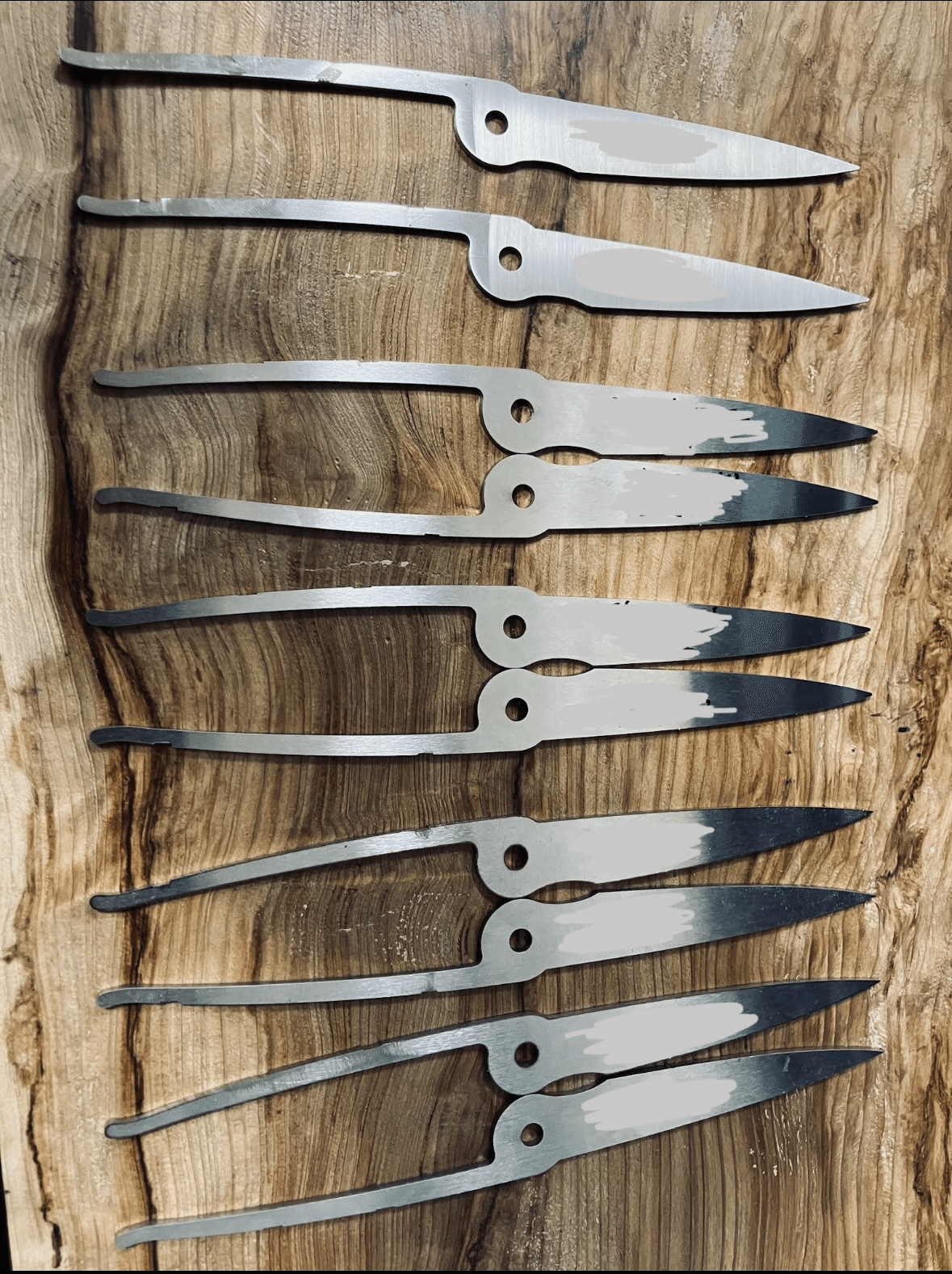 Stellar Edge SC01 ｜鴇