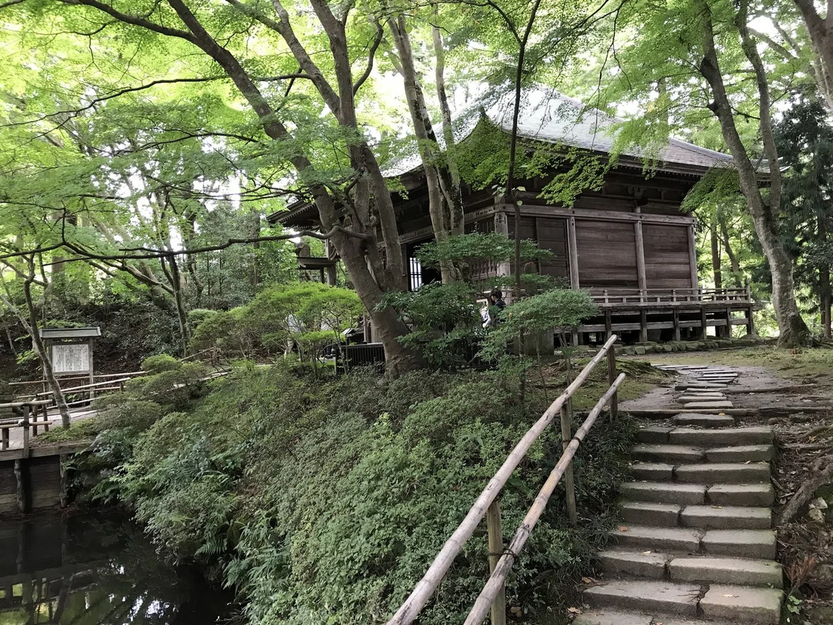 画像4