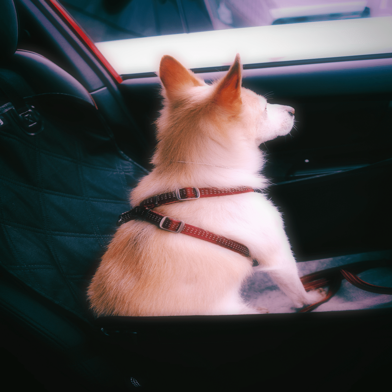 ViVi 20251019 宮城県図書館へ行く｜JunsHope