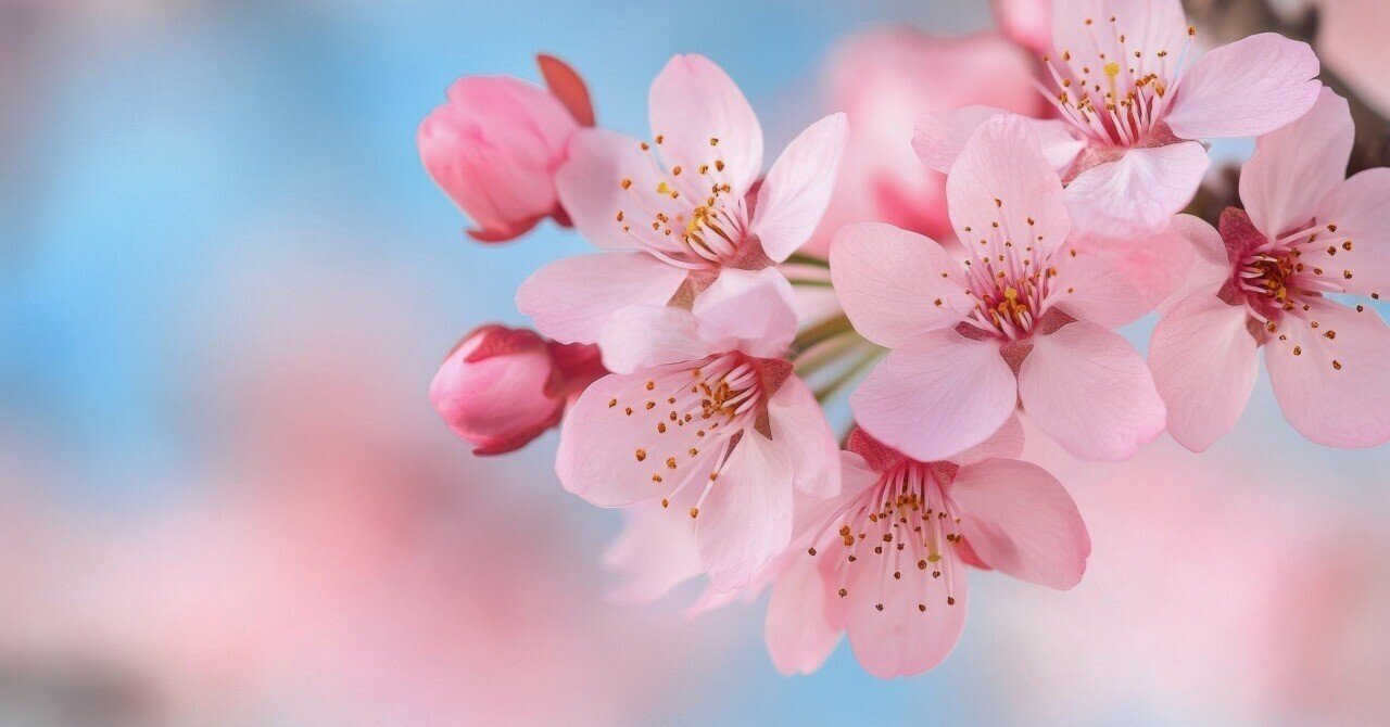 ダイソン ドライヤー （HD16 KP AM） Amazon限定 さくら ダイソン ドライヤー （HD16 KP AM） Amazon限定 さくら Amazon