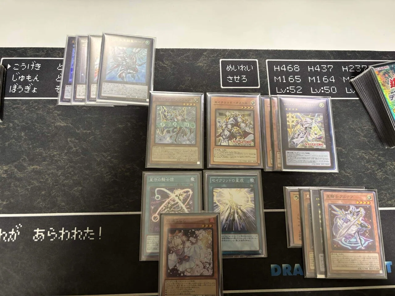 OCG】セイクリッド最速解説！【遊戯王】｜半袖ぱんだ/鴨橋負英