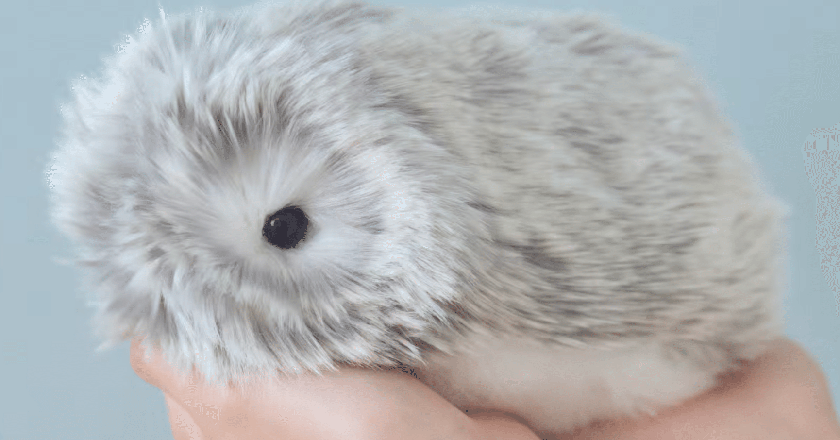 一人暮らしに癒やしをくれるAIペット「モフリン」｜カシオ発のふわふわ