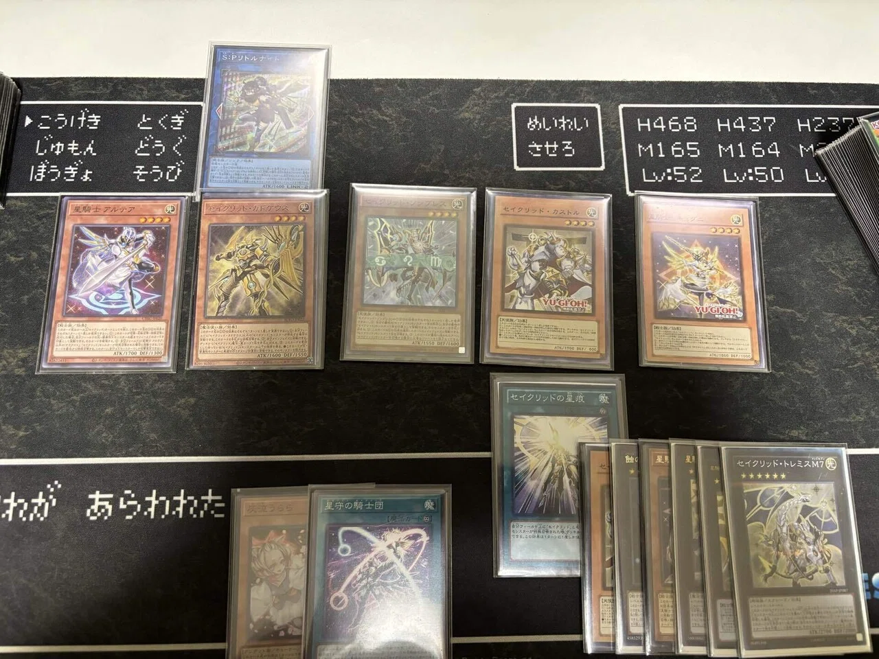 OCG】セイクリッド最速解説！【遊戯王】｜半袖ぱんだ/鴨橋負英