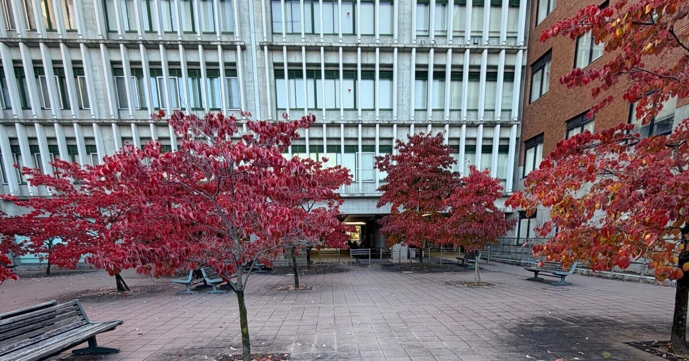 令和8年度京都大学理学部数理科学特色入試体験記｜?