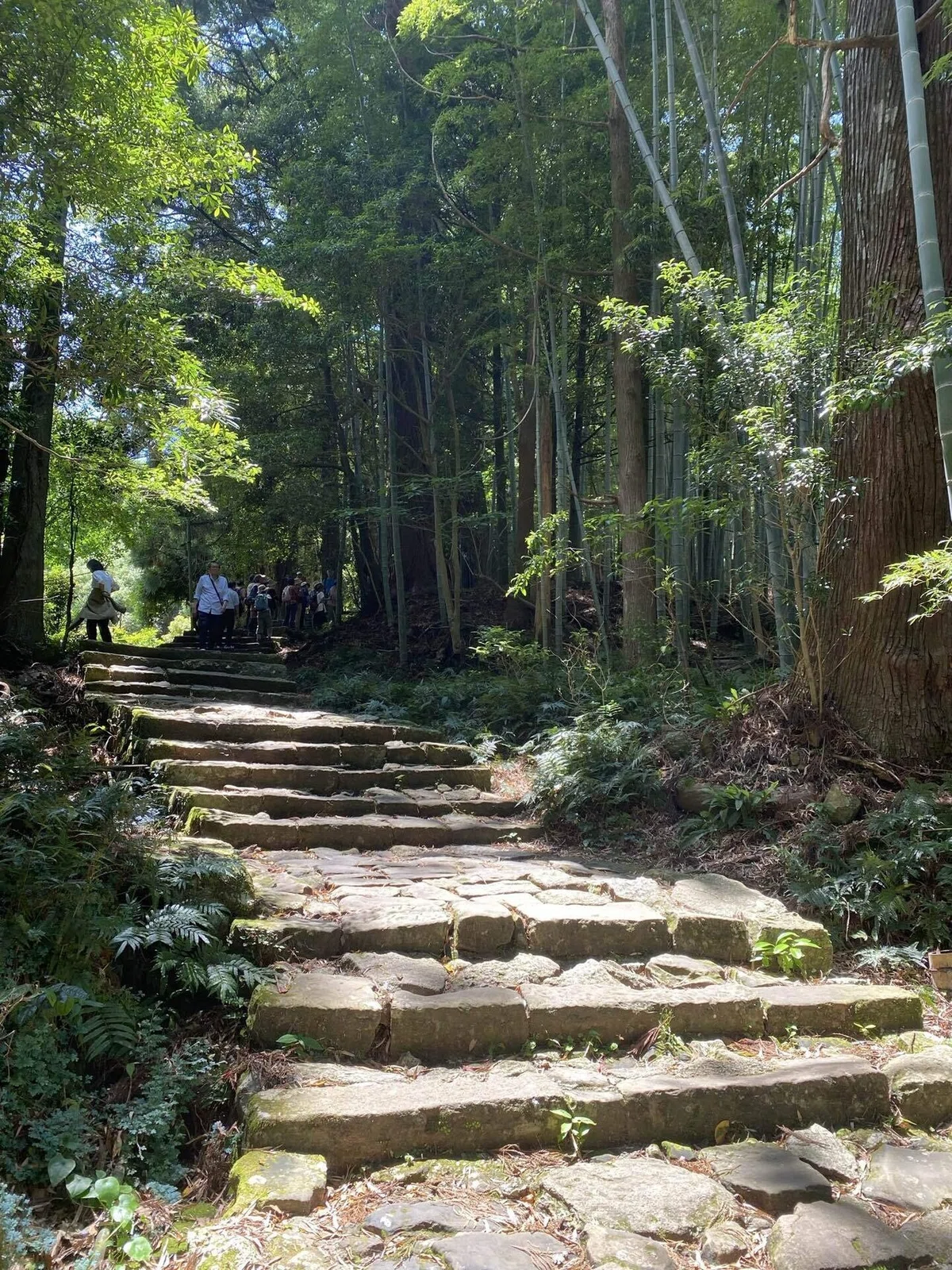 熊野古道一人旅 Vol.1｜大門坂〜熊 …