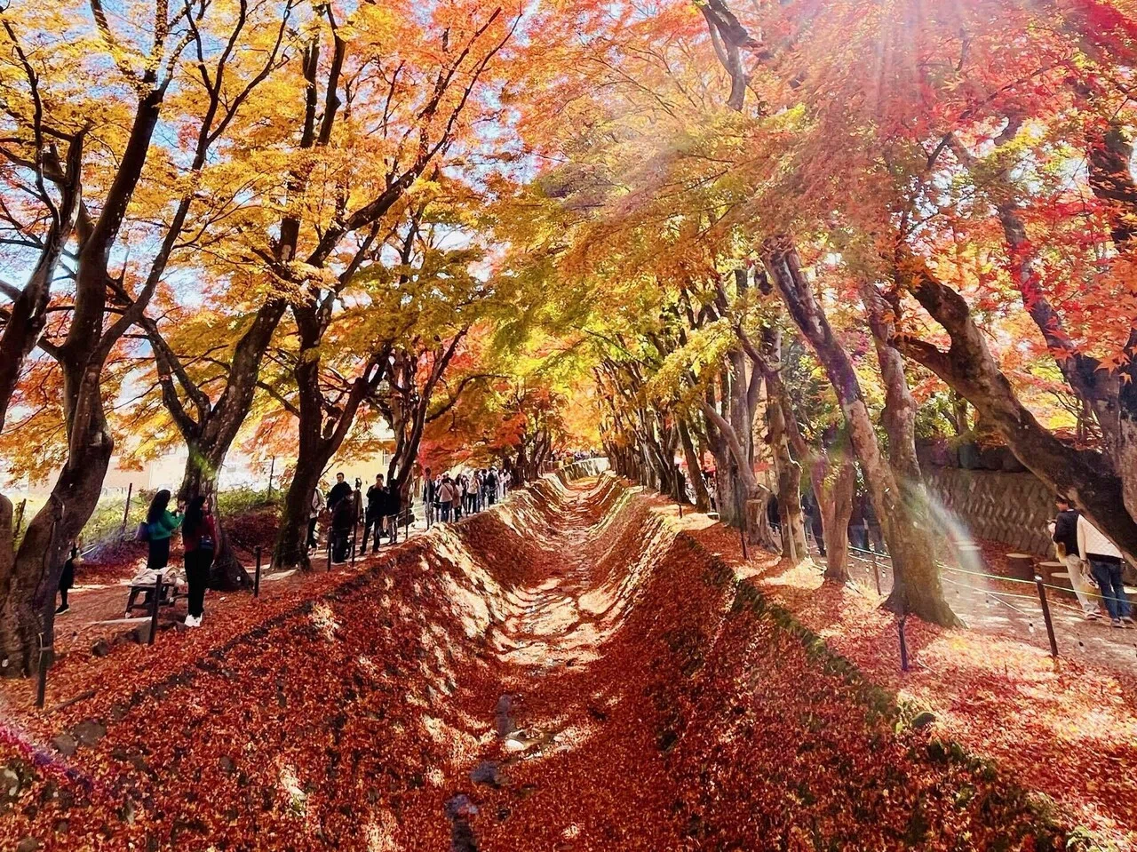 河口湖の紅葉旅日記！もみじ回廊からほうとう不動まで｜bkun