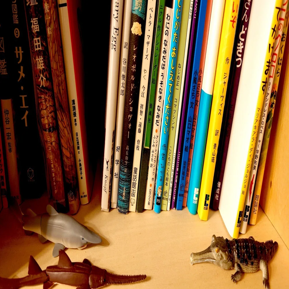 【未使用】ワニのJIGPUZZ BOOKS 朝霧高原の証言 Crocodiles Are Not Punished｜ワニスキー