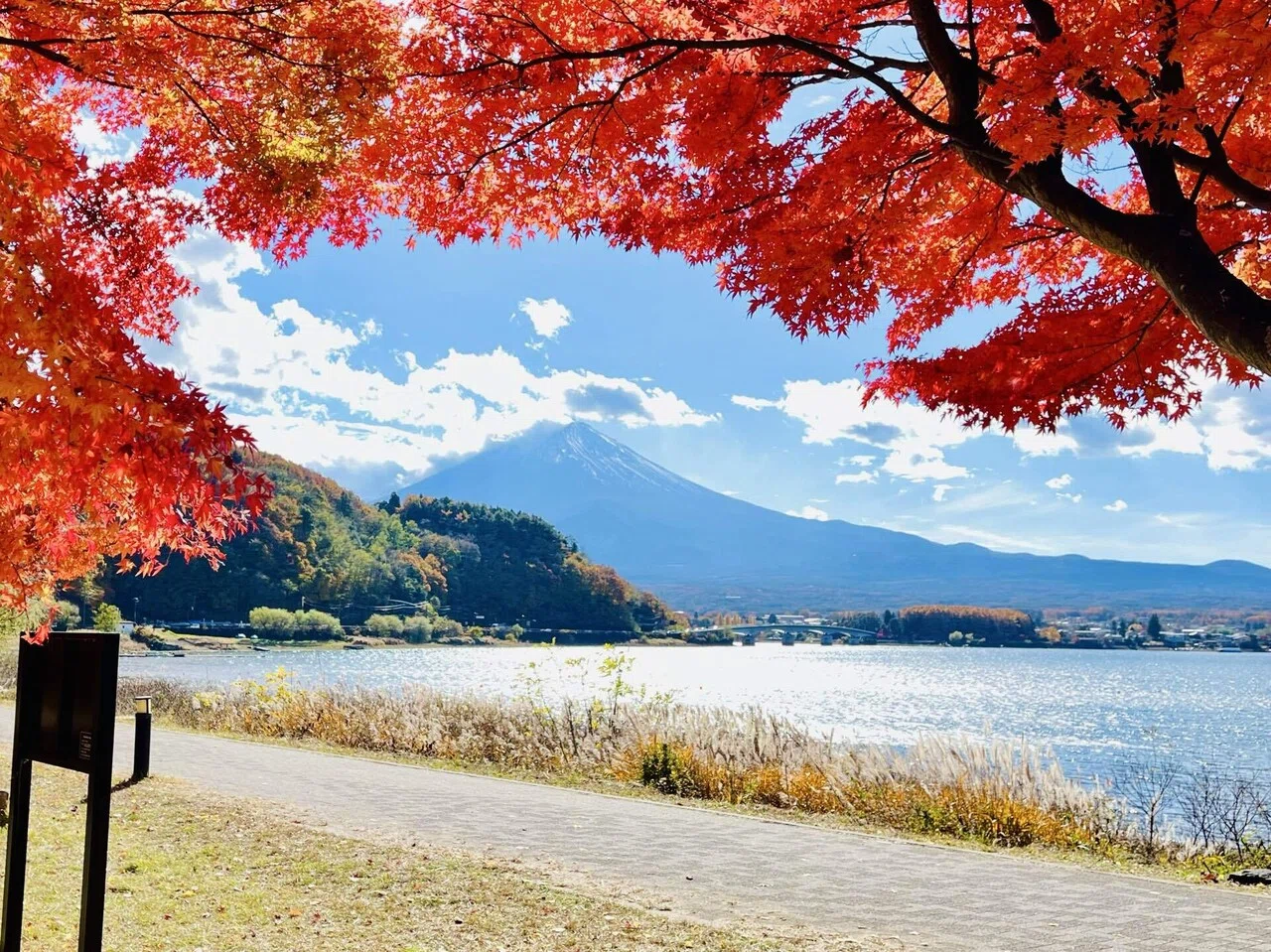 河口湖の紅葉旅日記！もみじ回廊からほうとう不動まで｜bkun