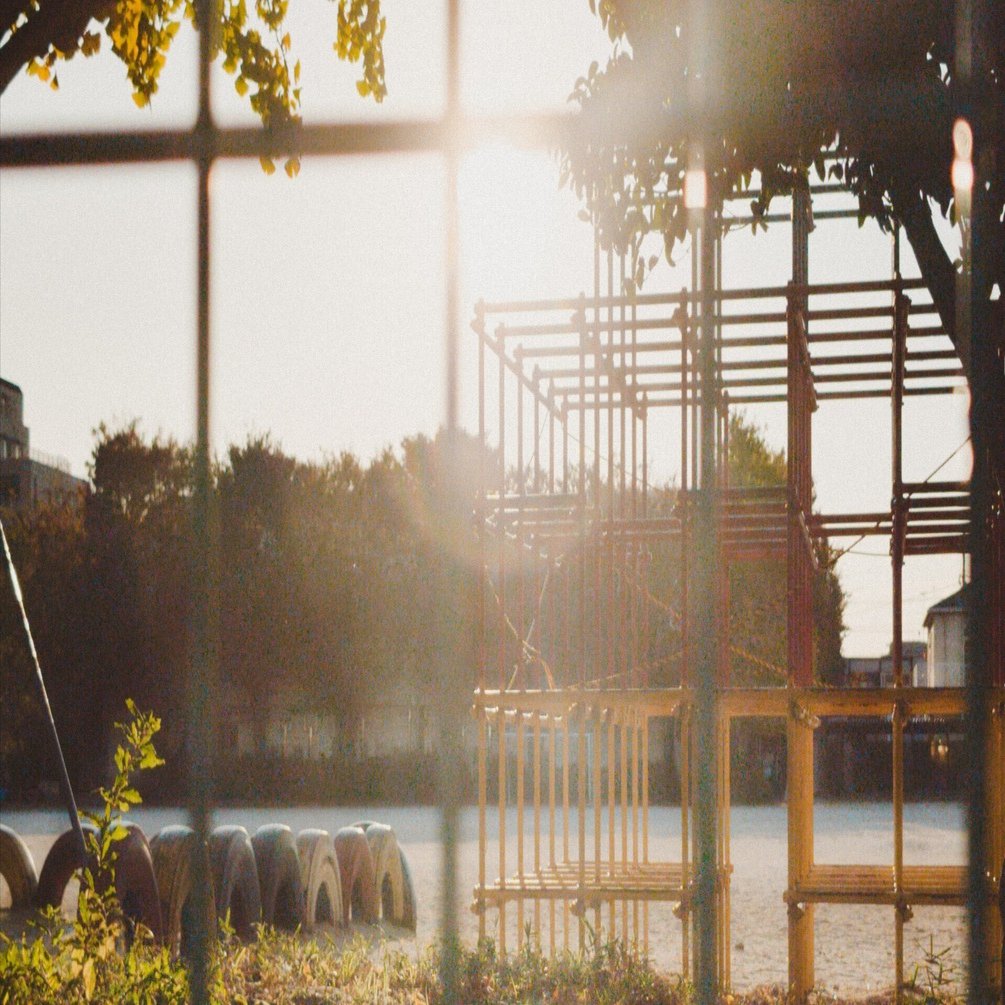 フィルム風写真｜桺蓼