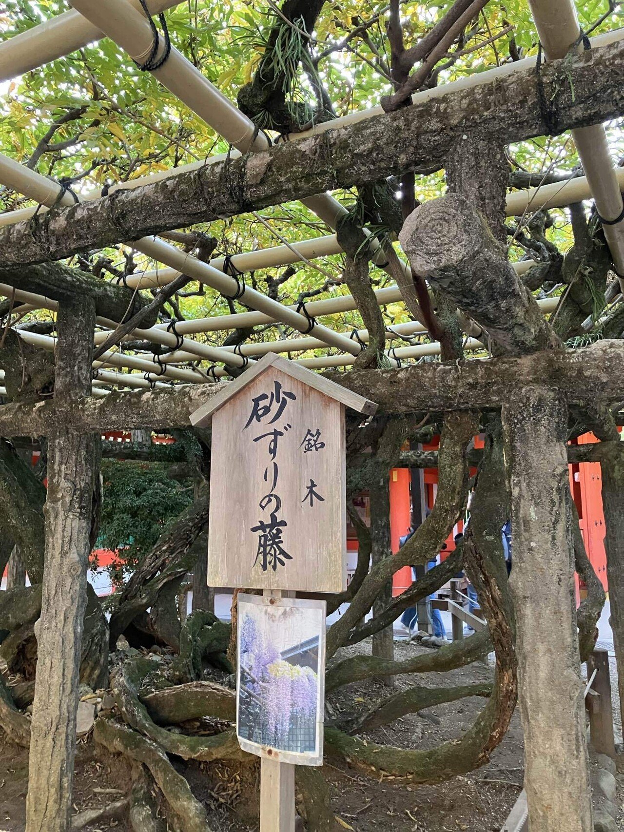 🔶私の好きな奈良：春日大社① 古式を今に伝える祭祀と式年造替 世界