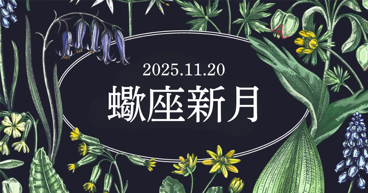 2025年11月20日、蠍座新月。過去を振り返りつつ、絆は調和へと向かって