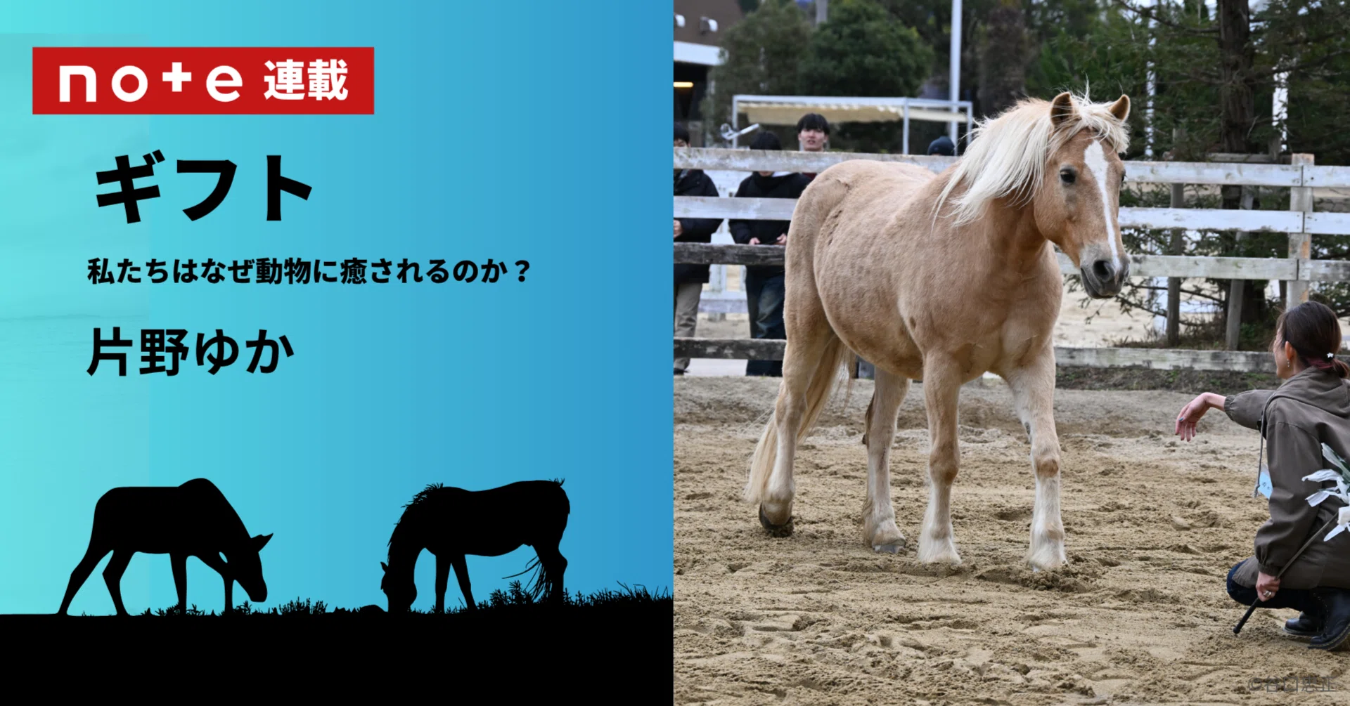 ギフト 私たちはなぜ動物に癒されるのか？｜第3回 ハラスメント問題も