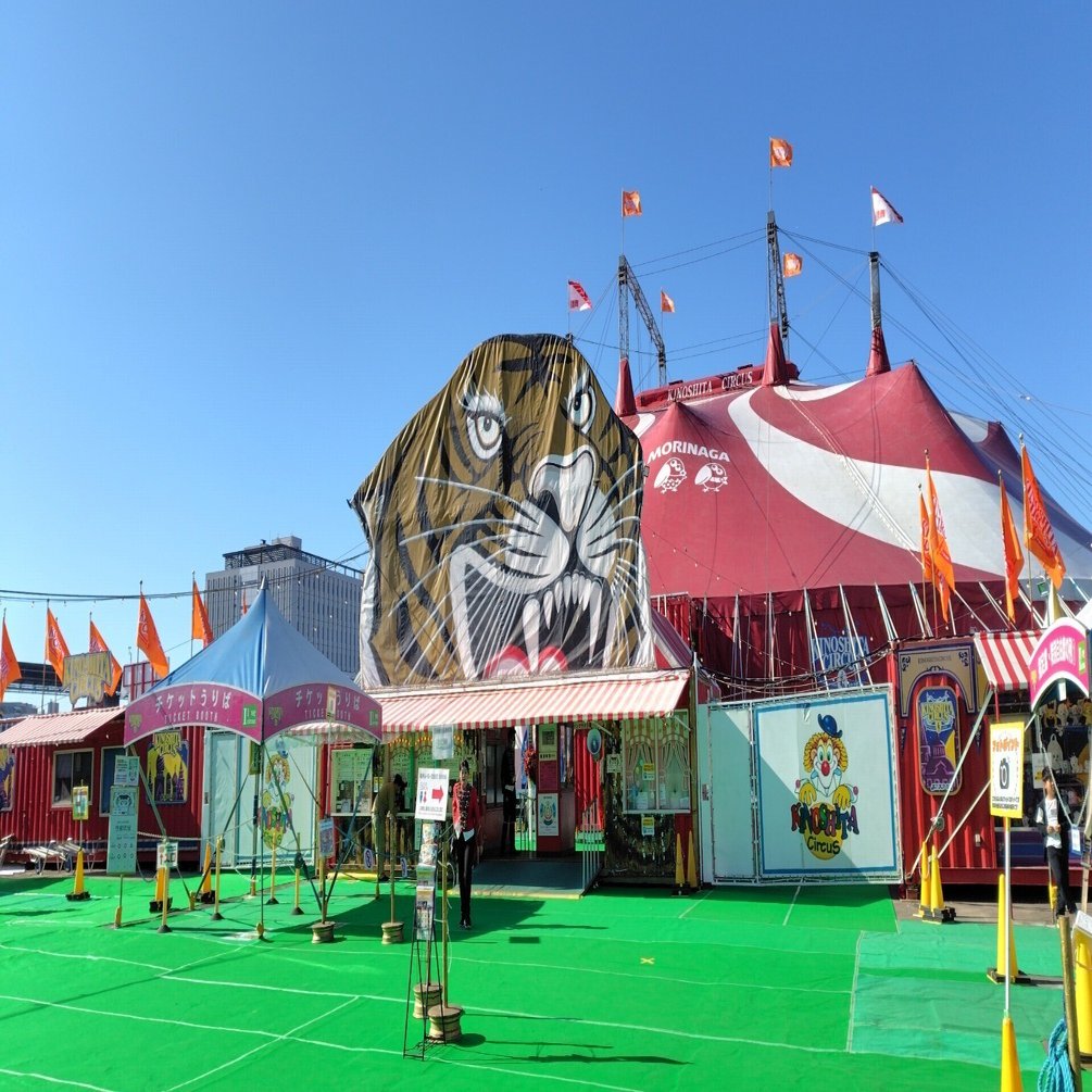 新品Choco Bears＆SWING PLEATS PTサーカスサーカス サーカスを観に行こう！｜エグタルト