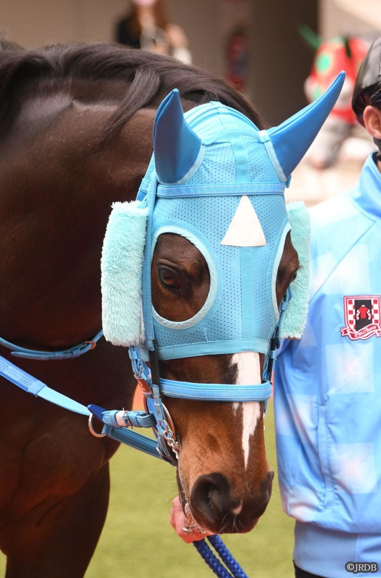 中央競馬LD年鑑【1993年度・レーザディスク】 中央競馬LD年鑑【1993年度・レーザディスク】 中央競馬LD年鑑