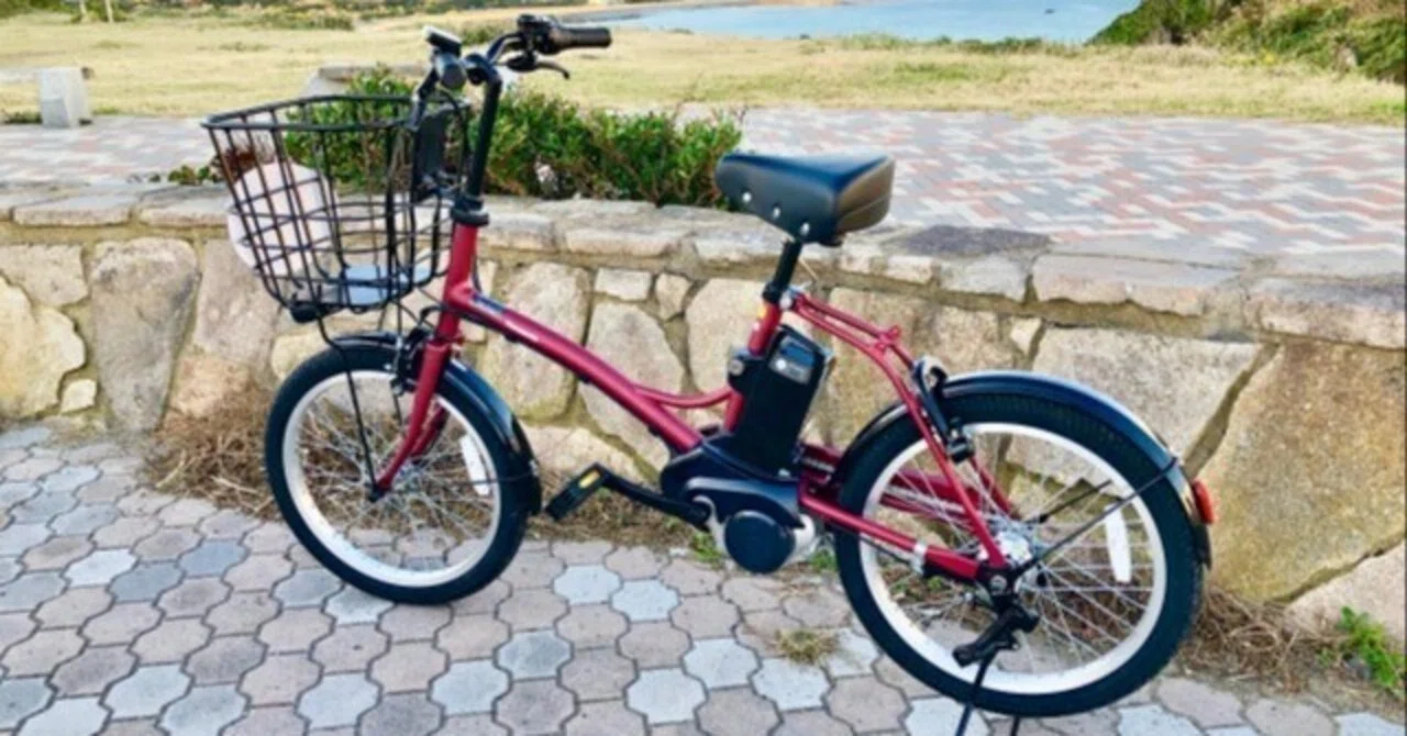 暴露】PELTECH TDN-206L電動アシスト自転車の評判は？口コミでわかる 
