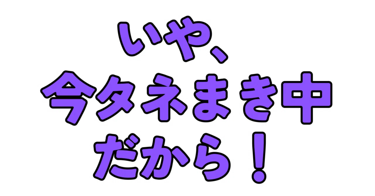 見出し画像