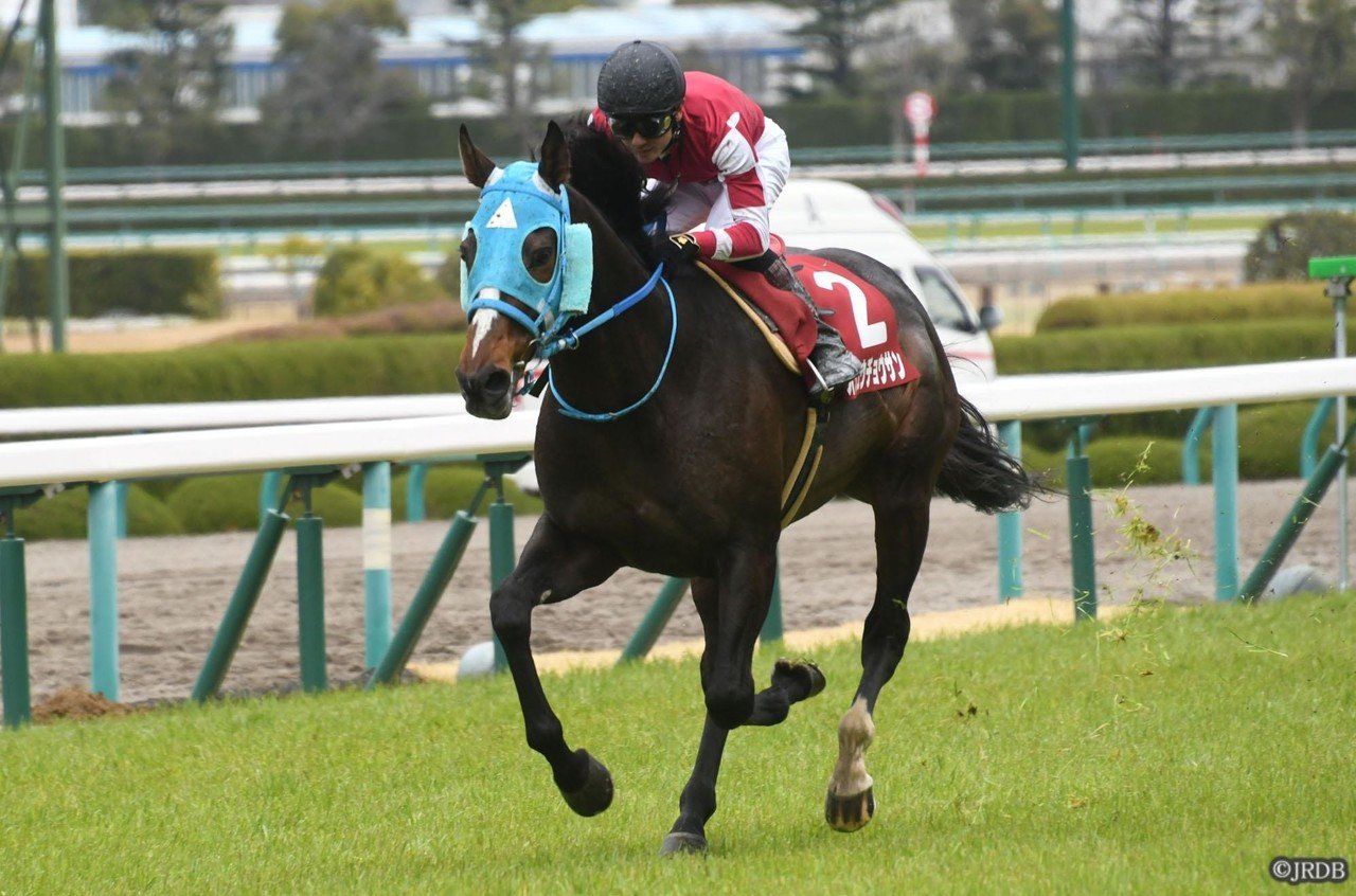 JRDB馬具図鑑～チークピース～｜JRDB 競馬アラカルト