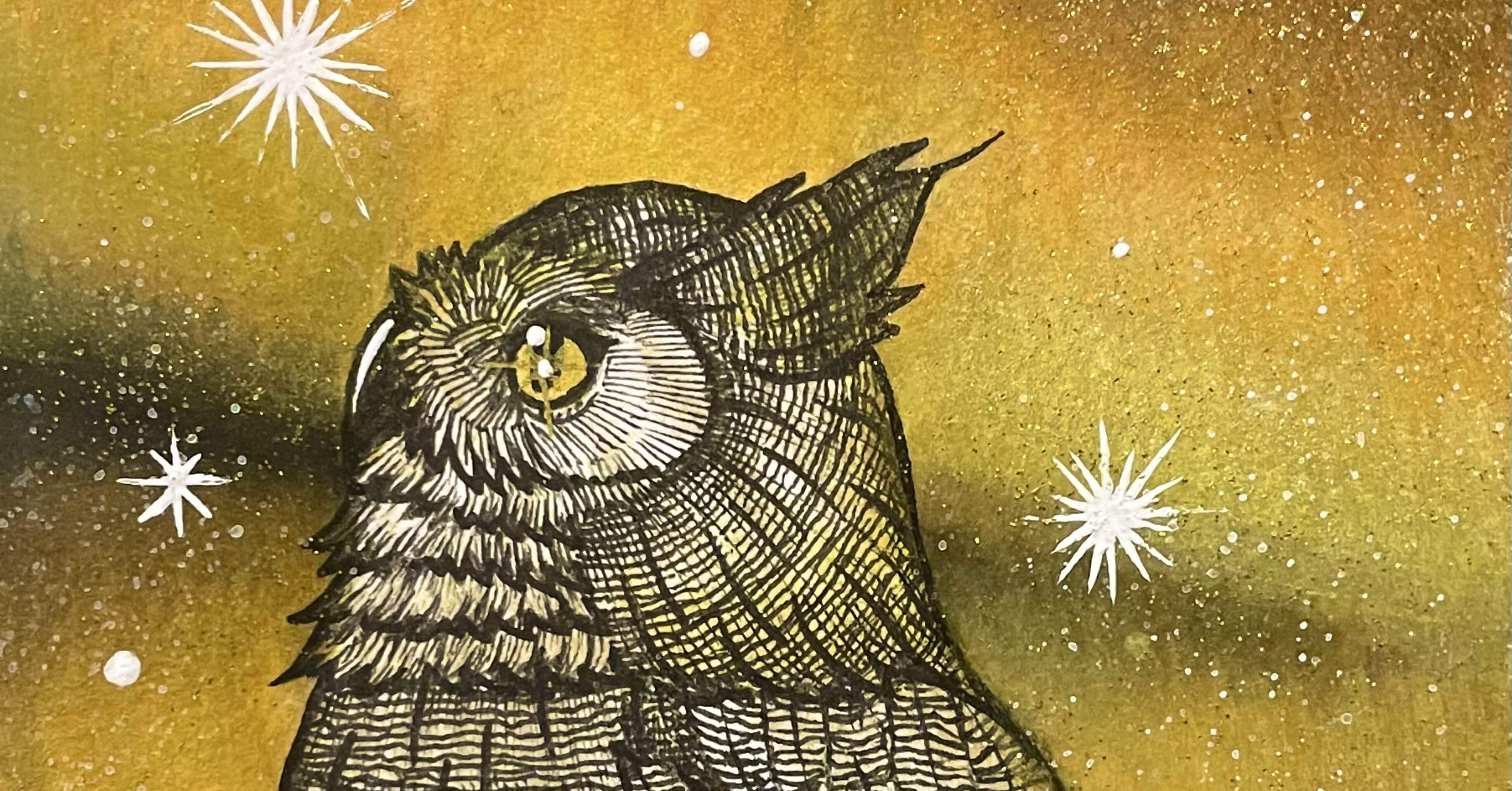 今日の一枚✨｜フクロウシホ