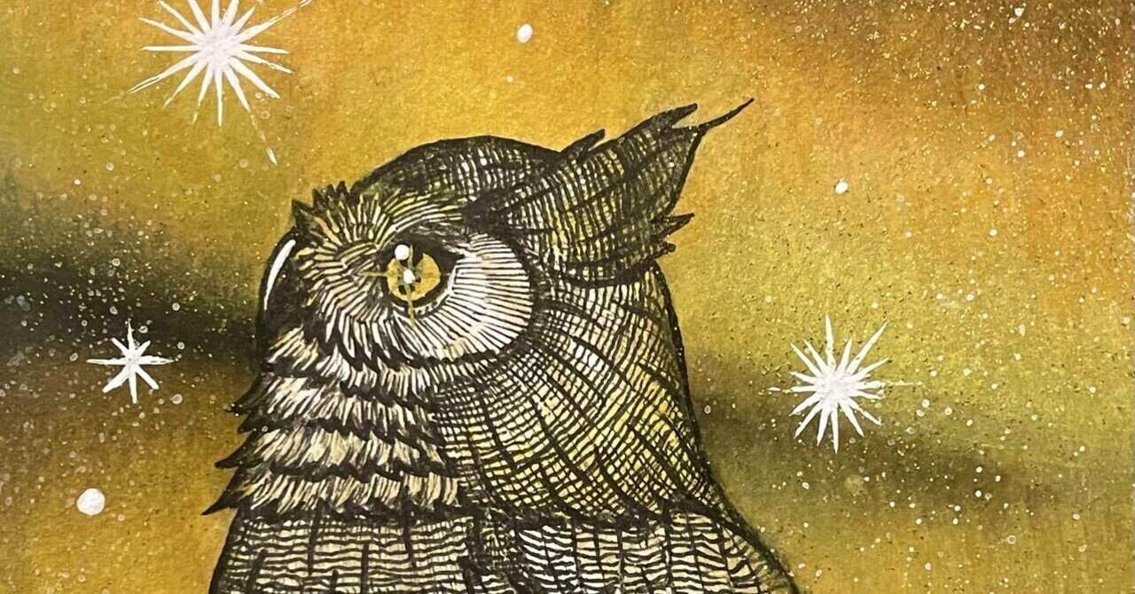 今日の一枚✨｜フクロウシホ