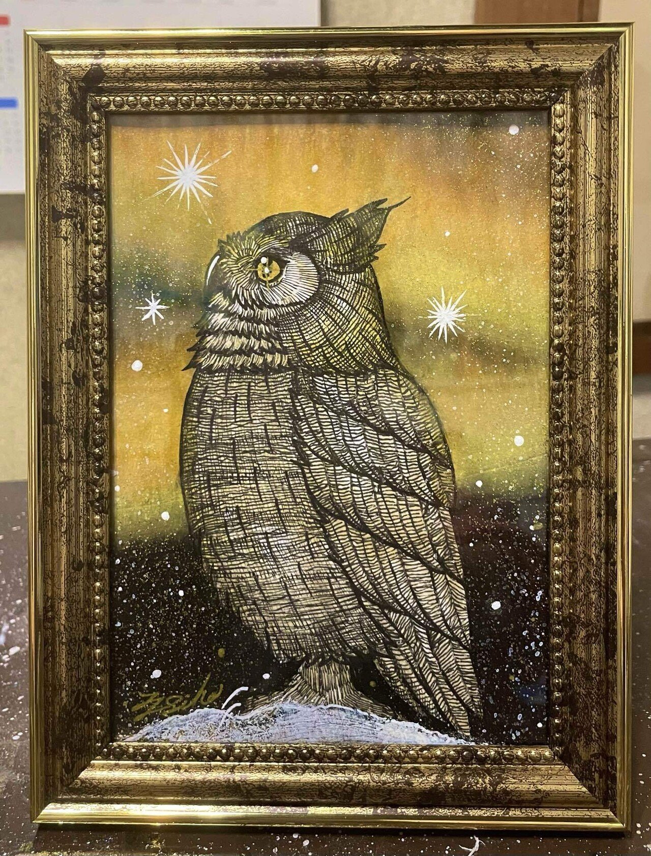 今日の一枚✨｜フクロウシホ