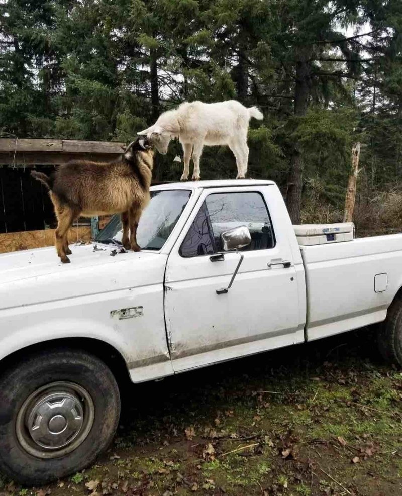 私はインターネットの届かないアメリカの田舎に住んでいる パンデミックは私をかつてないほど孤立させた 萩谷 海 Note