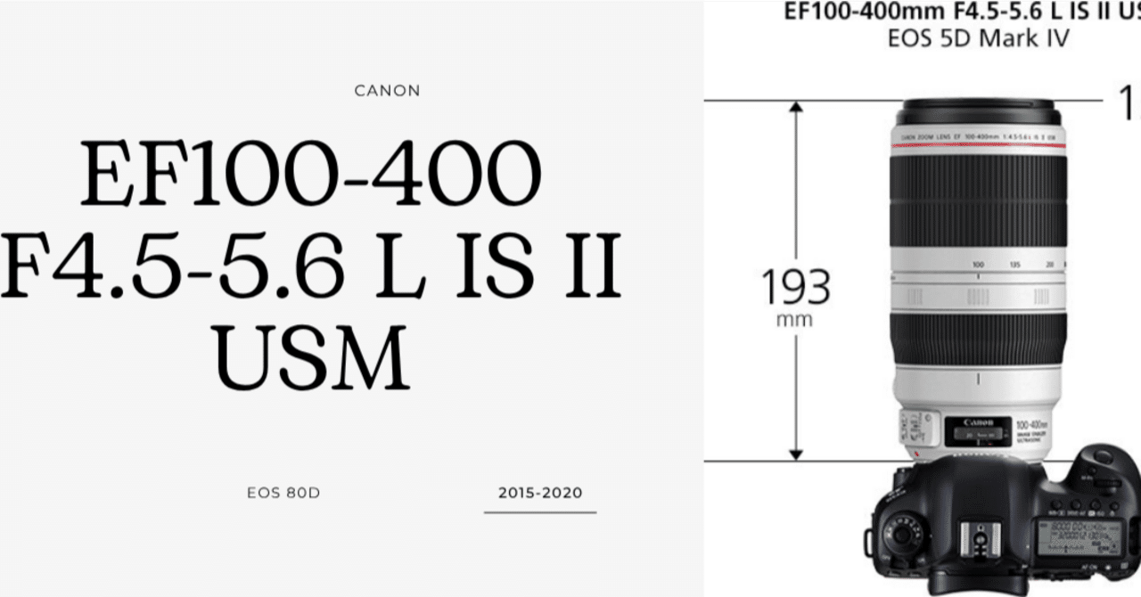 Canon 100-400II 一眼レンズ｜趣味鳥
