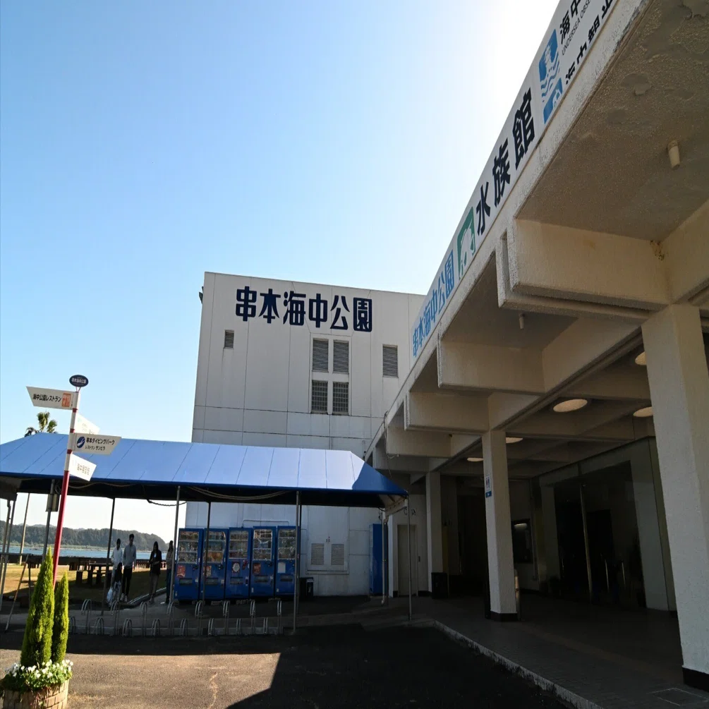 20251116_串本海中公園【Nikon Z50IIと水族館】｜山ネズミ