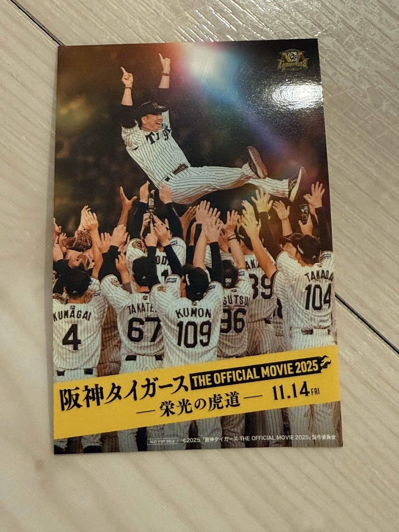 映画鑑賞 阪神タイガース THE OFFICIAL MOVIE 2025 －栄光の虎道（こ 