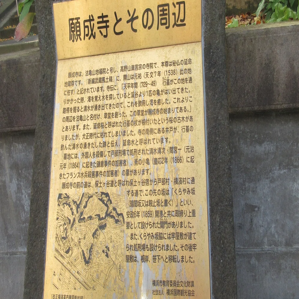 暗闇坂の人喰いの木～読書記録530～｜かおり