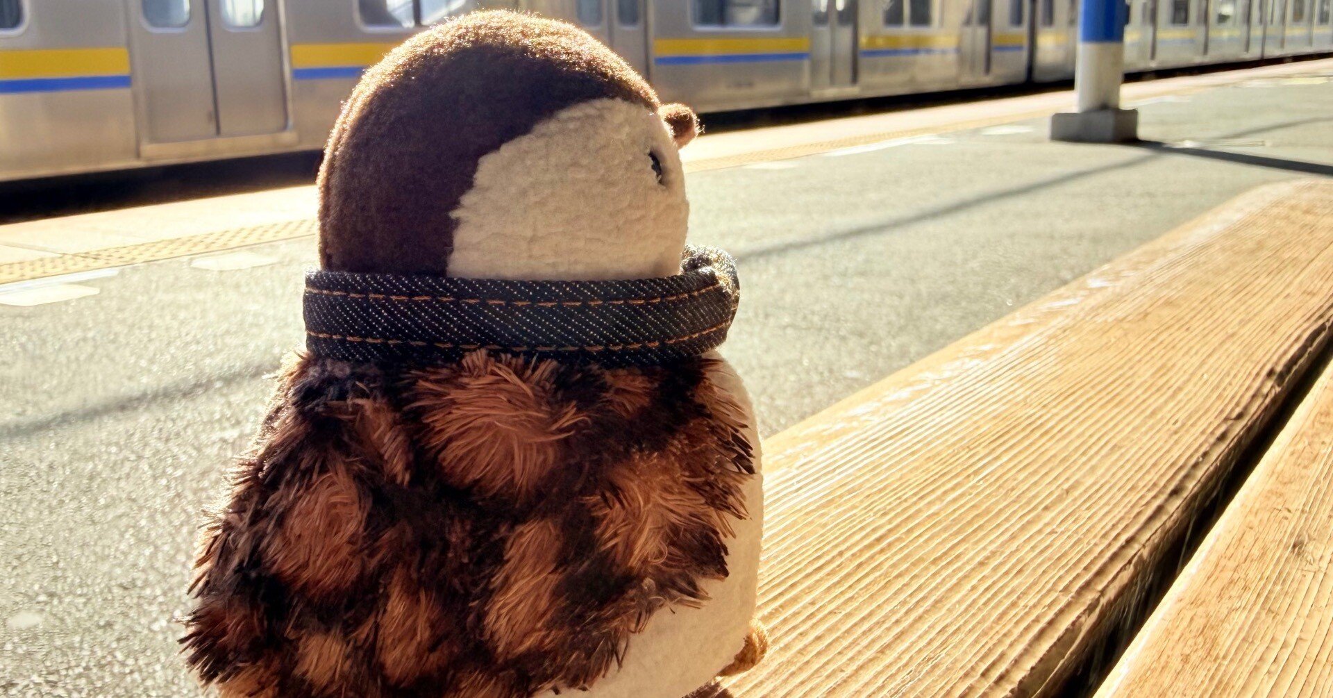 ぬい撮り】雷鳥ラックの冒険 〜上総一ノ宮写真集｜Yukihiro🧸
