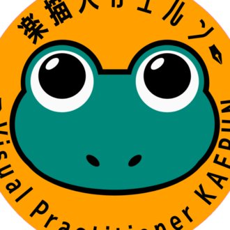 グラレコのカエルン #グラファイア・メソッド #グラレコ道場