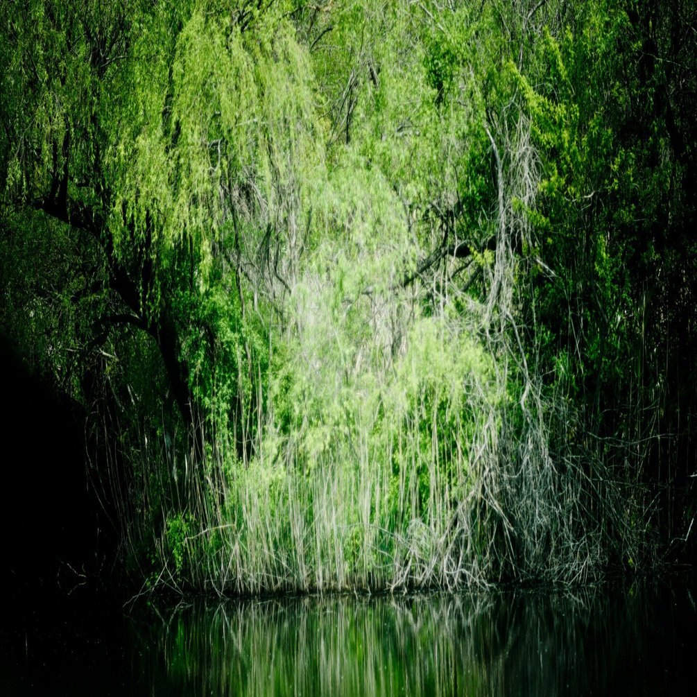 大宮第三公園の小さな島について Nikon D4s, Nikon D3300｜fueda218