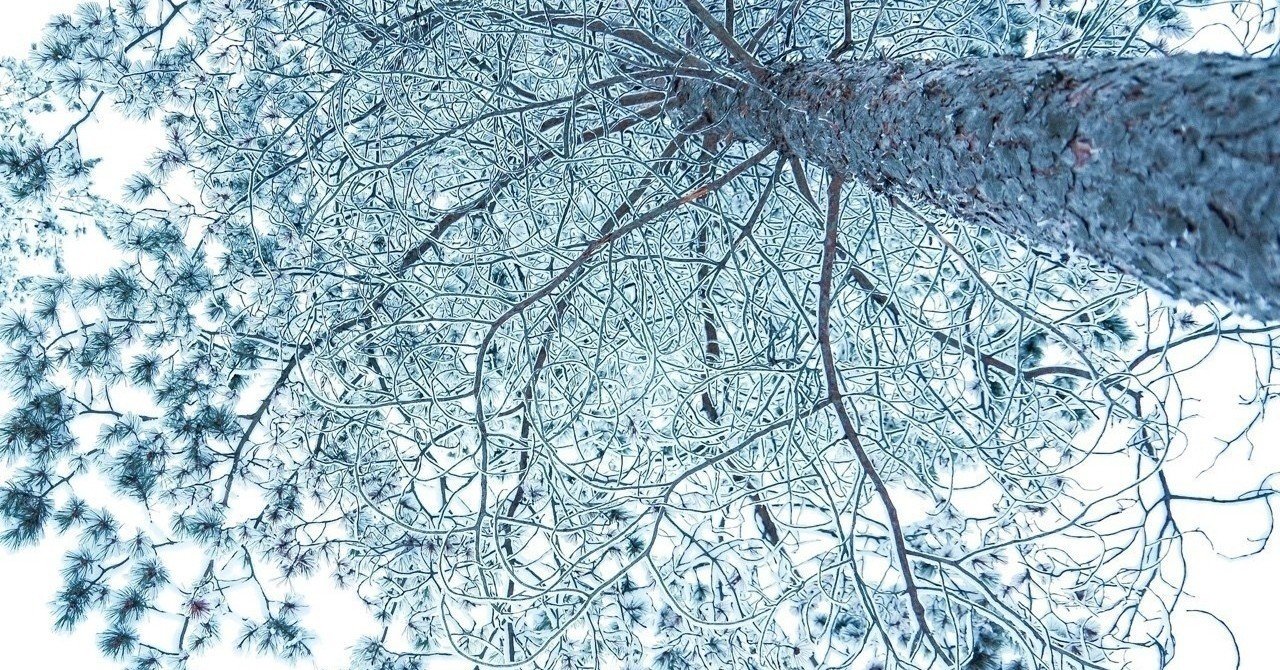 フィンランド北部の町で出会った美女が言った 人がもっているたくさんの要素について の話 みじんことオーマ Note フィンランド北部の町で出会った美女が言った 人がもっているたくさんの要素について の話 みじんことオーマ Note