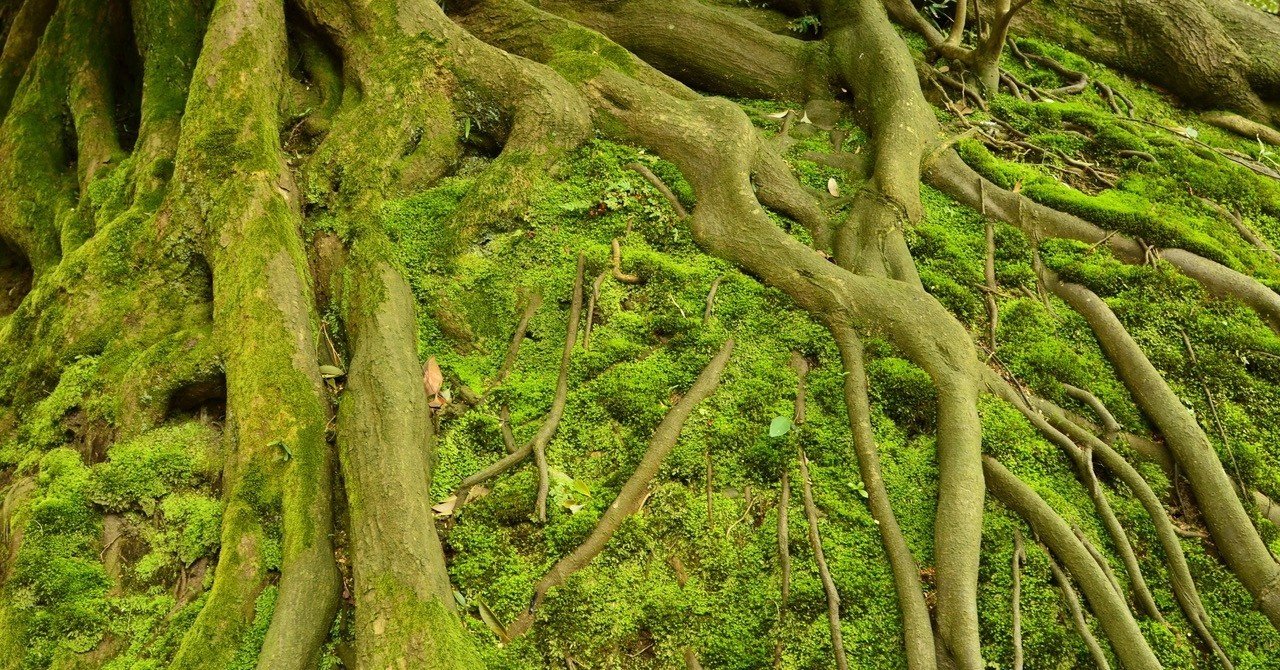 希少品】島根刀匠雲州弘光玉鋼製火箸2膳共箱サビ有り