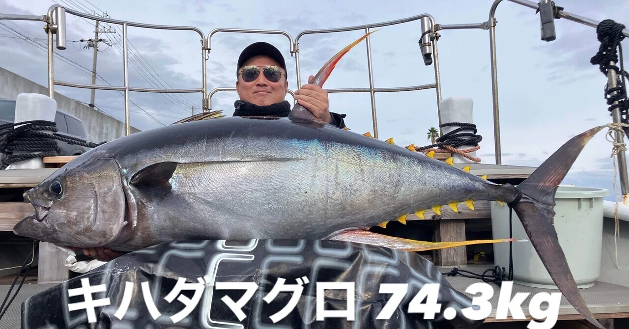 2025/11/4キハダマグロ完全フカセ釣り｜はるまる