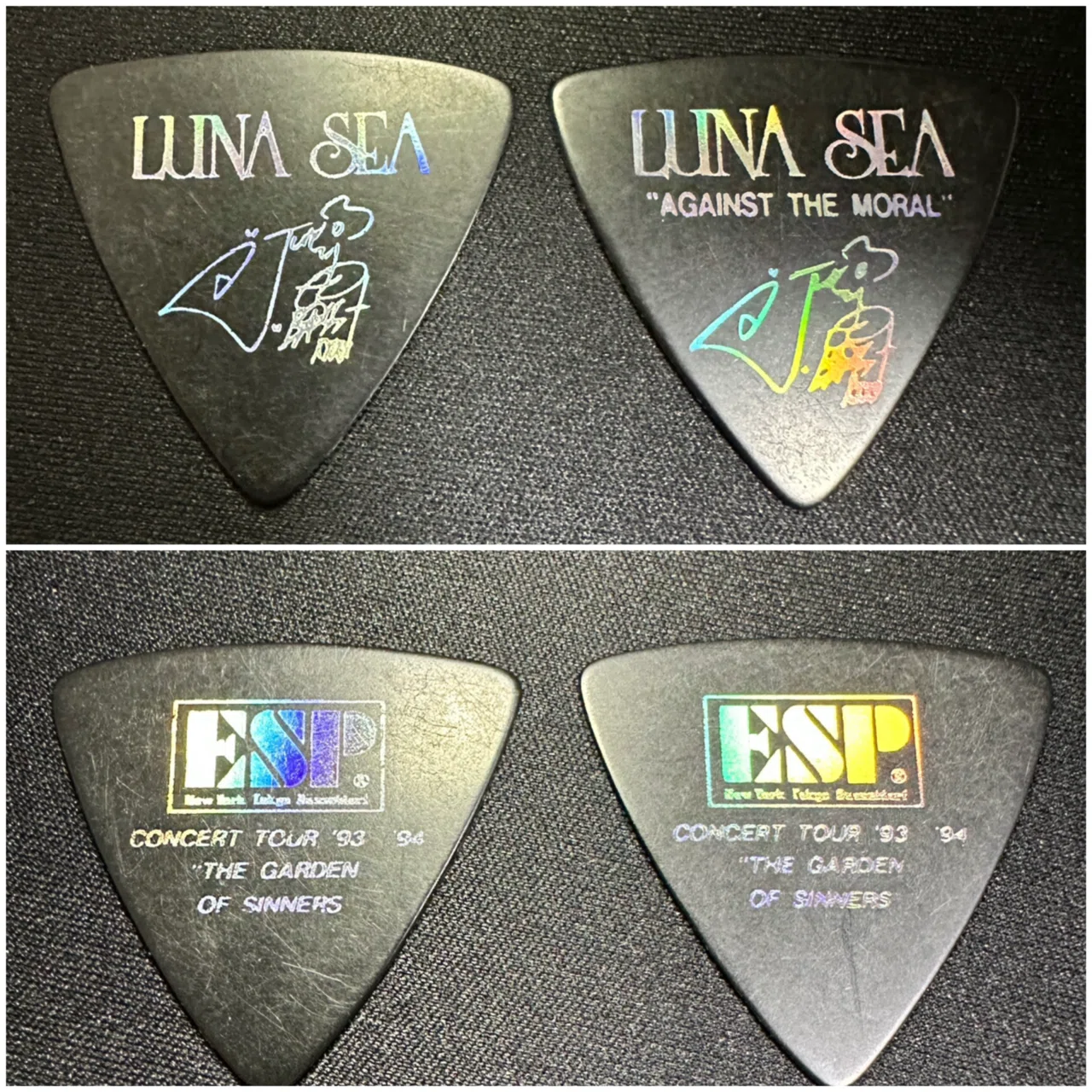 LUNA SEA CONCERT TOUR 1993-1994 The Garden of Sinners｜LUNA SEA
