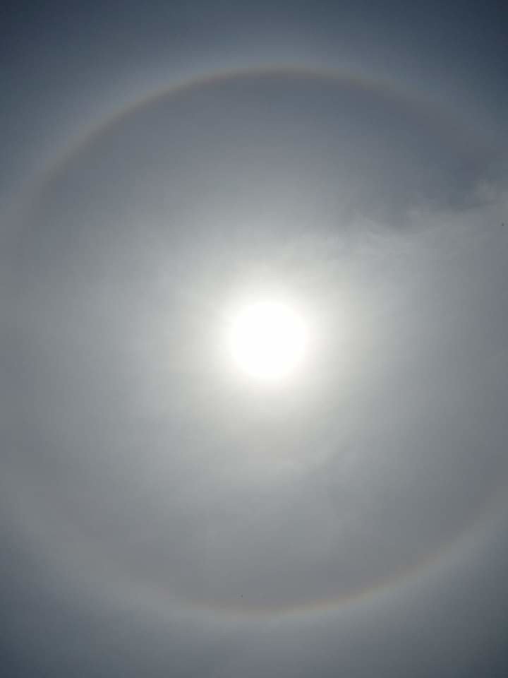 太陽の輪 タヌ Note 太陽の輪 タヌ Note
