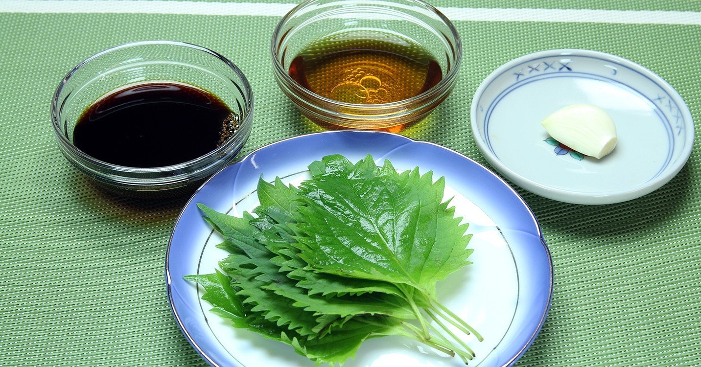 漬けるだけレシピ 一度食べたらやみつき 大葉消費量倍増 万能しそ調味料 Cs Style Note 漬けるだけレシピ 一度食べたらやみつき 大葉消費量倍増 万能しそ調味料 Cs Style Note