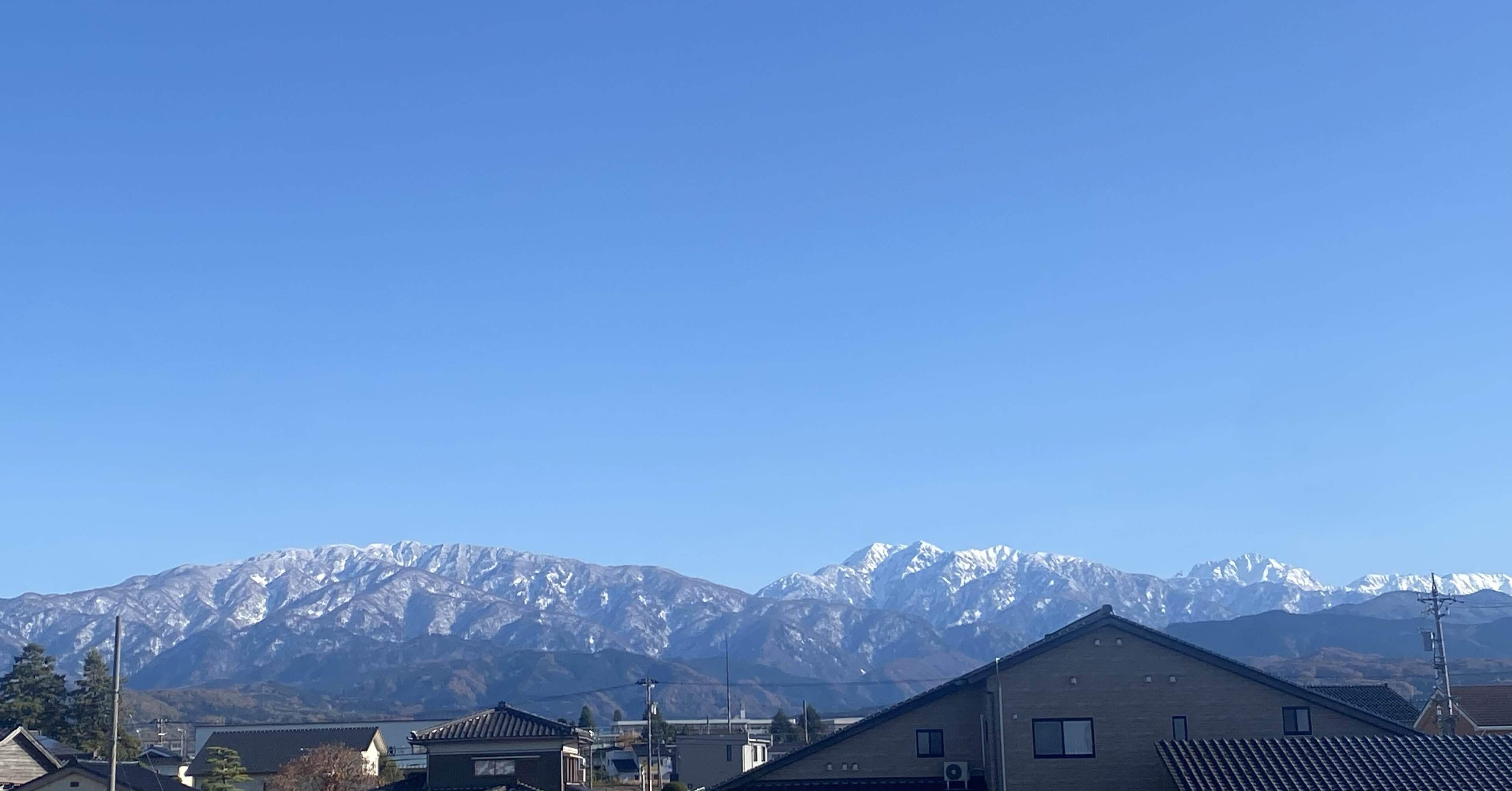 11月20日(木)｜み や こ