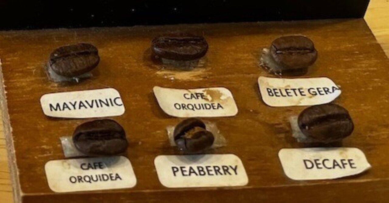 Anny Coffee【中央区中野町】｜遠州良所饅頭